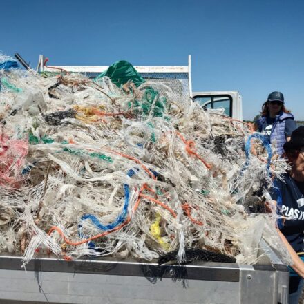 Raccolta rifiuti di Plasti Free Onlus per la Weekend del Mare 2026