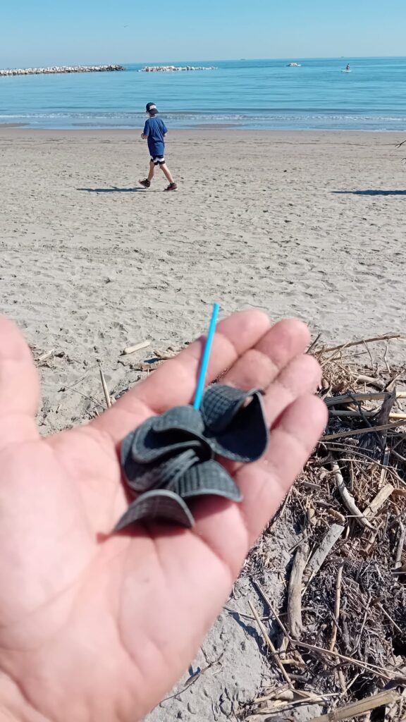 Plastica ritrovata durante il Weekend del Mare 206