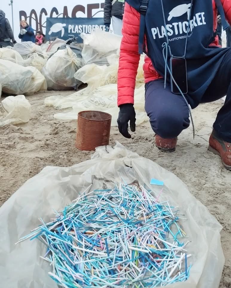 Ritrovamento Cotton fioc da Plastic Free Onlus