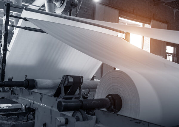 Industria cartaria